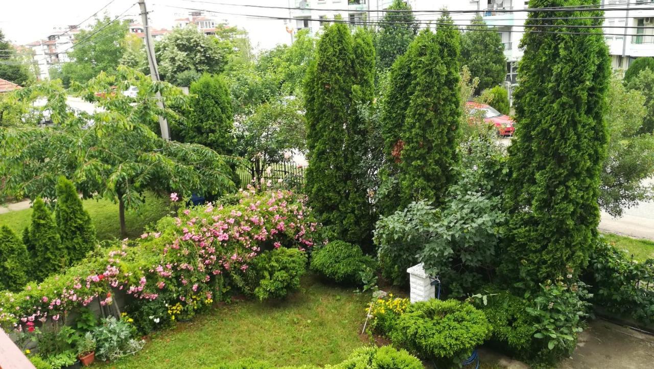 M4U Apartments Nis Bagian luar foto