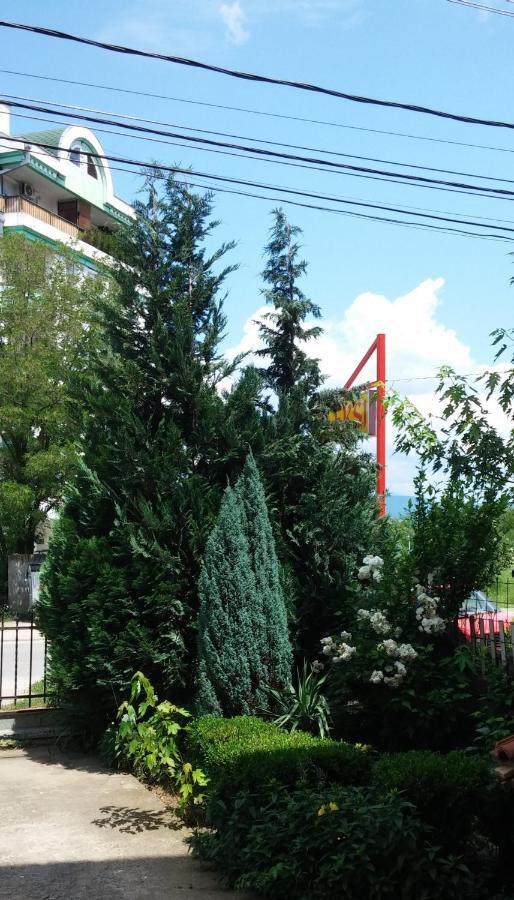 M4U Apartments Nis Bagian luar foto