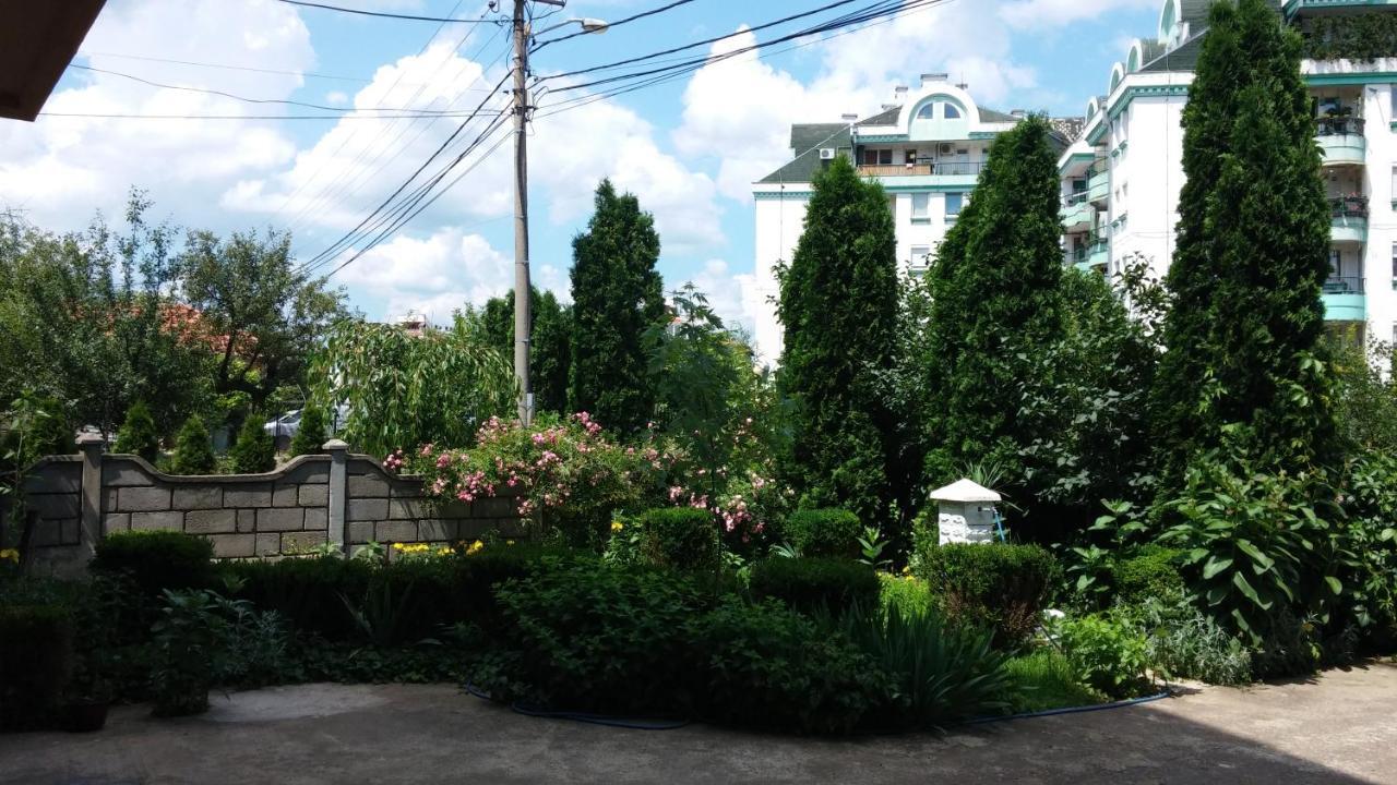 M4U Apartments Nis Bagian luar foto